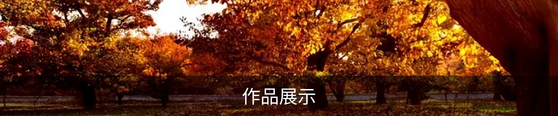 作品展示