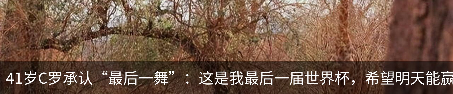 新闻中心